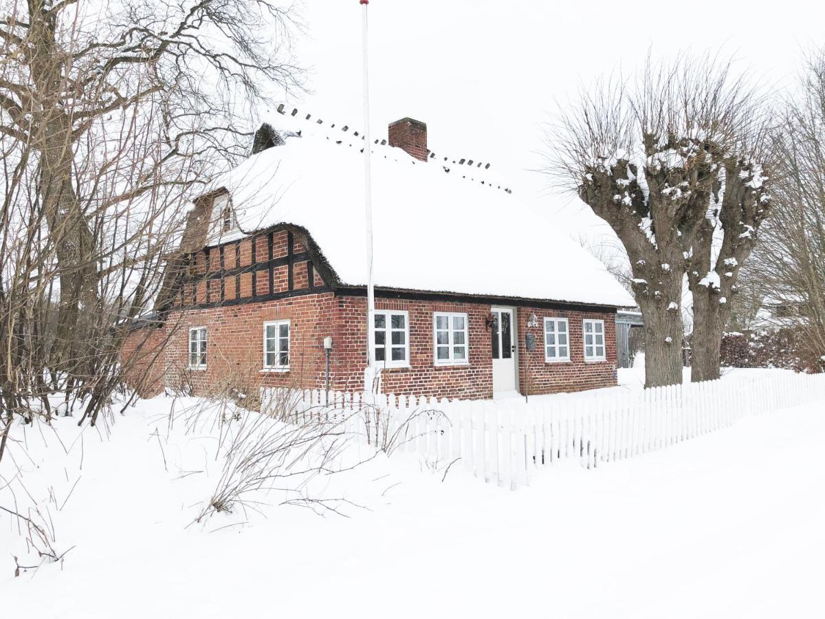 Romantisches Reetdachhaus - Frau Schroeders Mohrkirch Luaran gambar